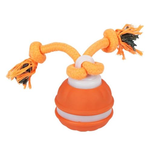 ARVALOLET Interactive Hundespielzeug aktive Rollkugelspielzeug for Welpen/kleine Hunde (Orange) von ARVALOLET
