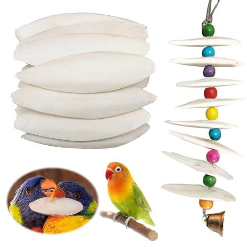 ARVALOLET Sepiaschale Natürliche Papageien Kauspielzeug Calcium Ergänzung for Vögel Sittiche Wellensittiche Papageien ARVALOLET Sepiaschale Natürliche Papageien Kauspielzeug Calcium Ergänzung for Vögel Sittiche Wellensittiche Papageien von ARVALOLET