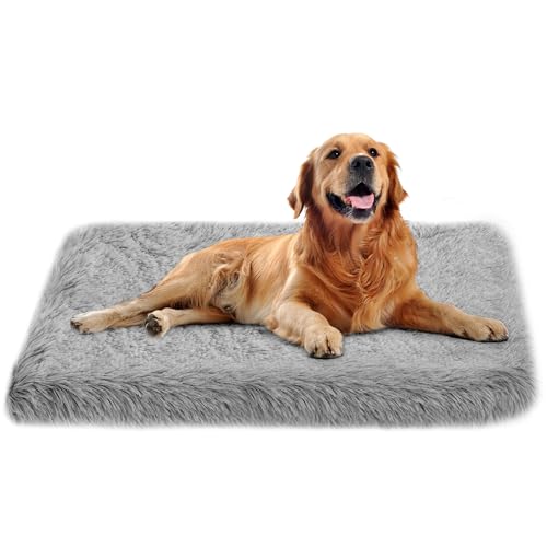 ARVINKEY Orthopädisches Hundebett Medium waschbar, Memory Foam Hundebett und Matratzenmatte für Hundekiste, weiches mittleres Hundebett Hundekissen mit abnehmbaren Plüschbezügen, grau, 75x50x7cm von ARVINKEY