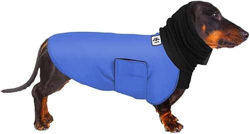 Dackel-Wintermantel, warm, wasserdicht, Dackel-Regenmantel, wasserdichte Kleidung, Miniatur-Hundemantel, Regenmäntel für Hunde, Größe S (Blau, M) von ARVOV