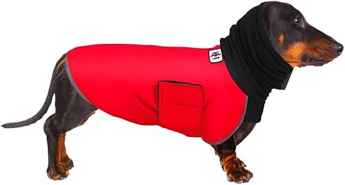 Dackelmantel, Hunde-Wintermantel, warm, wasserdicht, Dackel-Regenmantel, wasserdichte Kleidung, Miniatur-Hundemantel, Regenmäntel für Hunde, Größe S (Rot, M) von ARVOV