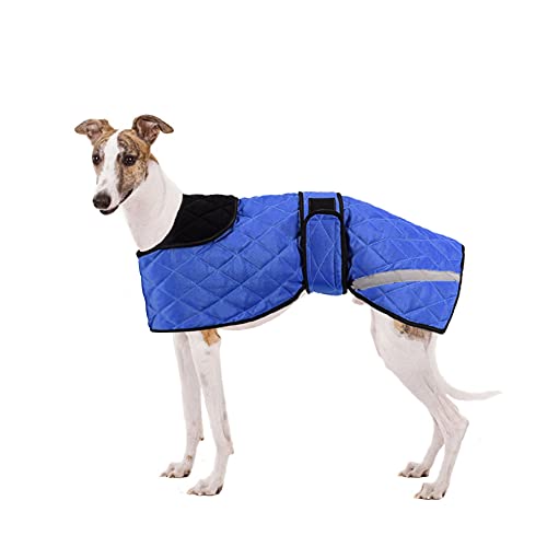 wasserdichte Hundemäntel, Outdoor-Hundebekleidung Pullover mit verstellbarem Band für mittelgroße und große Lurcher Salukis Hunde in der regnerischen Jahreszeit oder Winter - Blau von ARVOV