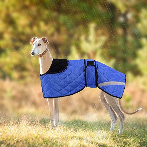 wasserdichte Hundemäntel, Outdoor-Hundebekleidung Pullover mit verstellbarem Band für mittelgroße und große Lurcher Salukis Hunde in der regnerischen Jahreszeit oder Winter - Blau von ARVOV