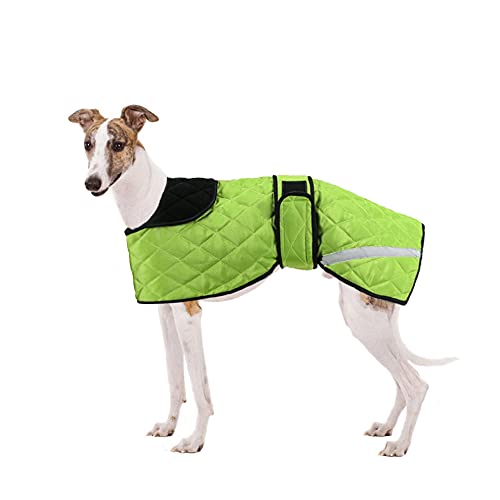 Windhunde, Wintermantel, Whippet, warmer Mantel, Outdoor-Hundebekleidung mit verstellbaren Bändern, für mittelgroße und große Lurcher Salukis Hunde in der regnerischen Jahreszeit oder Winter – Grün von ARVOV