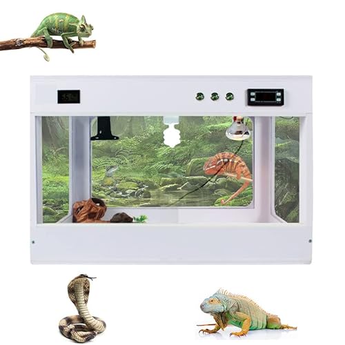 Großer und breiter Reptilien-Lebensraum-Tank, große Acryl-Reptil-Box, Insekten-Futterbox, Acryl-Reptil-Box, Mini-Critter-Keeper, Eidechsen-Lebensraum, Schildkröten-Kobra-Schnecke-Spinnen-Lebensraum von ARWIC