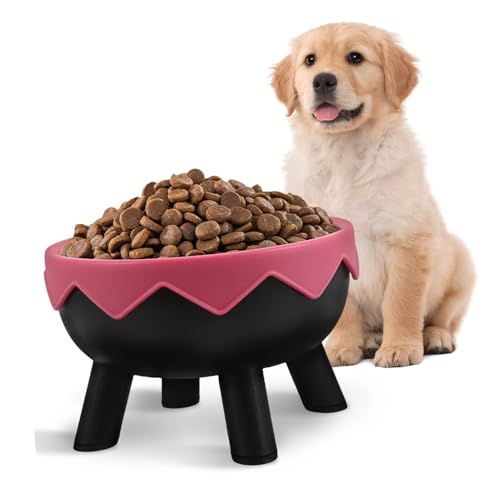 ASAKKURA Erhöhter Haustiernapf mit Rutschfester Basis Schräges Design Nackenschutz Stabiler Futternapf für Welpen und Kleine Hunde Hält Futter Frisch und Verhindert Verschütten ASAKKURA Erhöhter Haustiernapf mit Rutschfester Basis Schräges Design Nackenschutz Stabiler Futternapf für Welpen und Kleine Hunde Hält Futter Frisch und Verhindert Verschütten von ASAKKURA