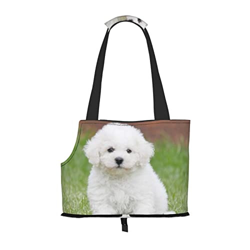 Bichon Frise Hundetasche, Haustier-Handtasche, tragbar, faltbar, für kleine Haustiere, Outdoor, Einkaufen, Reisen von ASEELO