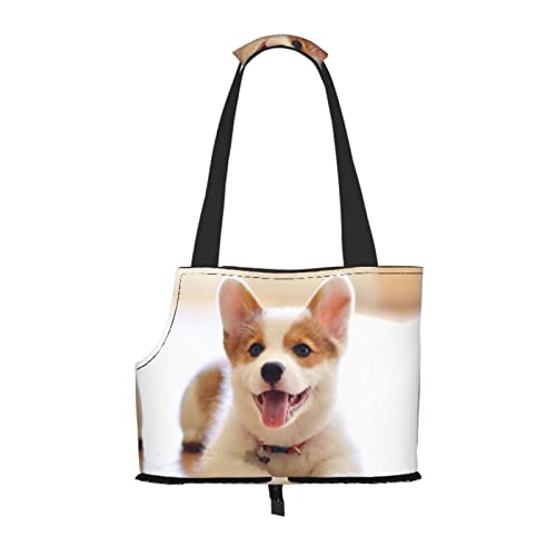 Corgi Haustier-Tragetasche, tragbar, für kleine Hunde/Katzen, weiche Seiten, mit verstellbarem Sicherheitsgurt, für U-Bahn/Einkaufen/Wandern/Reisen Corgi Haustier-Tragetasche, tragbar, für kleine Hunde/Katzen, weiche Seiten, mit verstellbarem Sicherheitsgurt, für U-Bahn/Einkaufen/Wandern/Reisen von ASEELO
