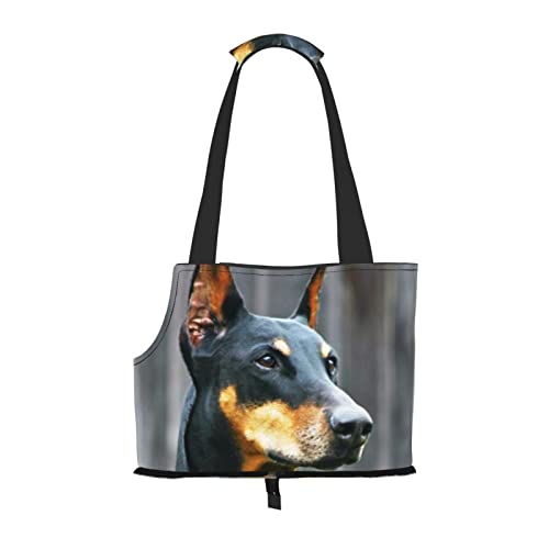 Doberman Haustier-Schultertasche für Haustiere, tragbar, faltbar, Handtasche für kleine Haustiere, Outdoor, Einkaufen, Reisen von ASEELO