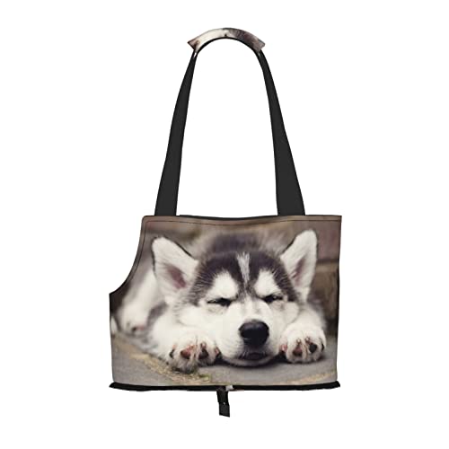 Husky Hunde-Schultertasche für Haustiere, tragbar, faltbar, für kleine Haustiere, Outdoor, Einkaufen, Reisen von ASEELO