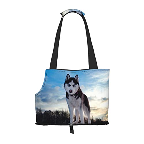 Husky Hunde-Tragetasche, tragbare kleine Hunde/Katzen, weiche Seiten-Tragetasche mit verstellbarem Sicherheitsgurt, für U-Bahn/Einkaufen/Wandern/Reisen Husky Hunde-Tragetasche, tragbare kleine Hunde/Katzen, weiche Seiten-Tragetasche mit verstellbarem Sicherheitsgurt, für U-Bahn/Einkaufen/Wandern/Reisen von ASEELO