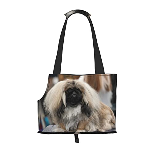 Pekingese Hunde-Tragetasche für kleine Hunde/Katzen, weich, mit verstellbarem Sicherheitsgurt, für U-Bahn/Einkaufen/Wandern/Reisen von ASEELO
