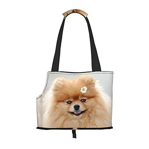 Pomeranian Hunde-Tragetasche für kleine Hunde/Katzen, weich, mit verstellbarem Sicherheitsgurt, für U-Bahn/Einkaufen/Wandern/Reisen Pomeranian Hunde-Tragetasche für kleine Hunde/Katzen, weich, mit verstellbarem Sicherheitsgurt, für U-Bahn/Einkaufen/Wandern/Reisen von ASEELO