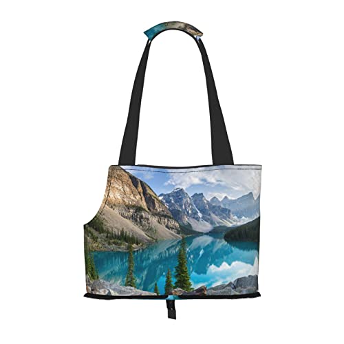 Rocky Mountains Haustier-Tragetasche, tragbar, für kleine Hunde/Katzen, weich, mit verstellbarem Sicherheitsgurt, für U-Bahn/Einkaufen/Wandern/Reisen von ASEELO