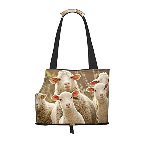 Schaf und Lämmer Haustier Schultertasche Haustier Handtasche Tragbare Faltbare Haustier Sling Tragetasche Handtasche für kleine Haustiere Outdoor Einkaufen Reisen von ASEELO