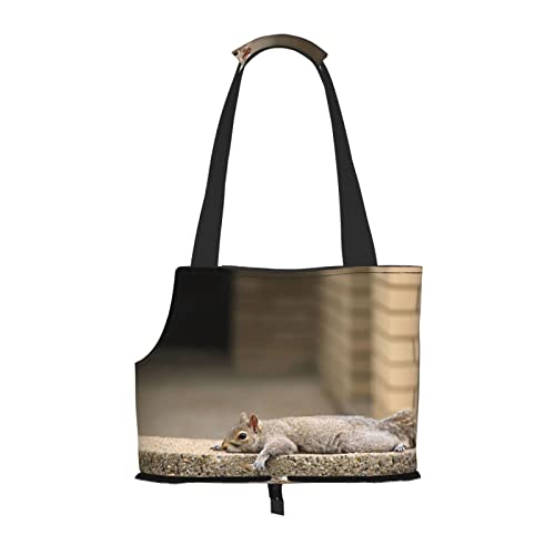 Squirrel Just Laying Haustier-Schultertasche, tragbar, faltbar, Handtasche für kleine Haustiere, Outdoor, Einkaufen, Reisen von ASEELO