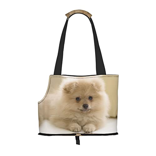 Süße Pomeranian Hundetasche, tragbare Tragetasche für kleine Hunde / Katzen, weiche Seiten, mit verstellbarem Sicherheitsgurt, für U-Bahn/Einkaufen/Wandern/Reisen Süße Pomeranian Hundetasche, tragbare Tragetasche für kleine Hunde / Katzen, weiche Seiten, mit verstellbarem Sicherheitsgurt, für U-Bahn/Einkaufen/Wandern/Reisen von ASEELO