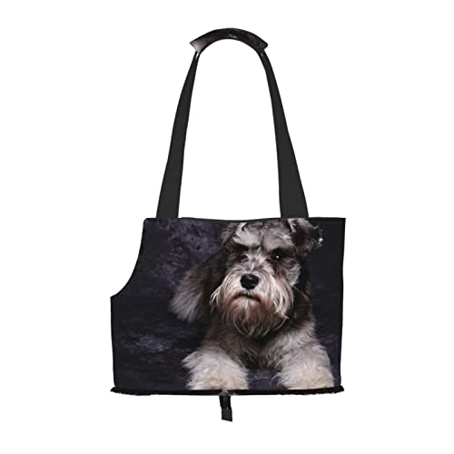 Tragetasche für Hunde, tragbar, für kleine Hunde/Katzen, weich, mit verstellbarem Sicherheitsgurt, für U-Bahn/Einkaufen/Wandern/Reisen Tragetasche für Hunde, tragbar, für kleine Hunde/Katzen, weich, mit verstellbarem Sicherheitsgurt, für U-Bahn/Einkaufen/Wandern/Reisen von ASEELO