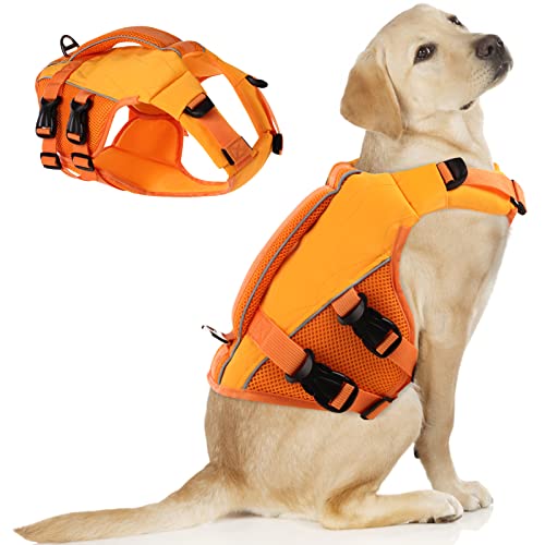ASENKU Schwimmweste Hund Groß XXL,Verstellbar & Ripstop Hundeschwimmweste,Rettungsweste für Hunde mit Griff und Reflektierend, Hunde Schwimmweste für Chihuahua,Dackel,Französische Bulldogge, Labrador ASENKU Schwimmweste Hund Groß XXL,Verstellbar & Ripstop Hundeschwimmweste,Rettungsweste für Hunde mit Griff und Reflektierend, Hunde Schwimmweste für Chihuahua,Dackel,Französische Bulldogge, Labrador von ASENKU