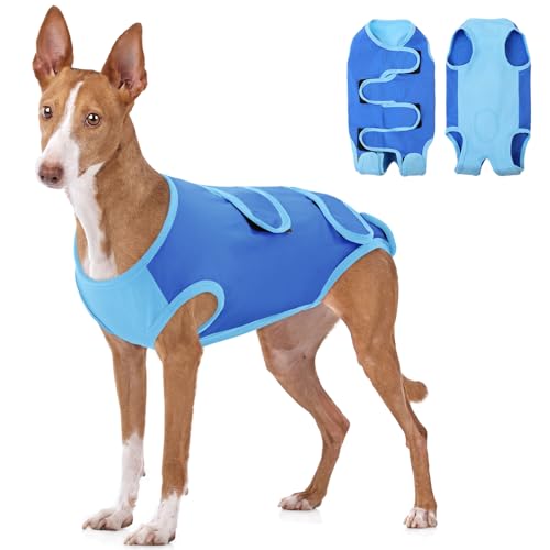 ASENKU Hundebody Nach Op, Hundebody Nach Kastration Hündin Rüde, Hundepyjama für Kleine, Mittlere und Große Hunde,Erholungsanzug nach Operation, Anti-Lecken, Wundschutz, Kegel-Alternative, Blau, L von ASENKU