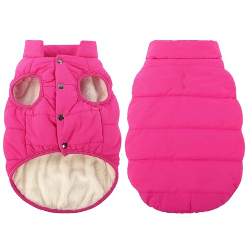 ASENKU Hundemantel Winter, Hundemantel wasserdichte für Kleine Hunde Warme Fleece Hundejacke mit Geschirr Winddichte Wintermantel Hund Kleidung für Malteser Dackel Französische Bulldogge M ASENKU Hundemantel Winter, Hundemantel wasserdichte für Kleine Hunde Warme Fleece Hundejacke mit Geschirr Winddichte Wintermantel Hund Kleidung für Malteser Dackel Französische Bulldogge M von ASENKU