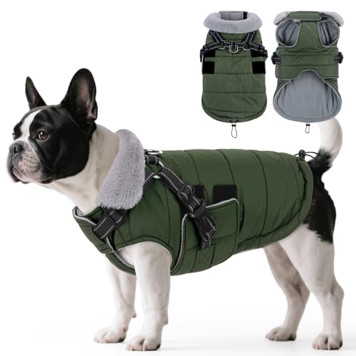 ASENKU Hundemantel Winter für Kleine, Mittel & Grosse Hunde, Hundemantel mit Geschirr Wasserdicht Winddichtes Reflektierender, Warme Hundejacke Mit Brustgurt Winterjacken & Wintermäntel für Hunde M von ASENKU
