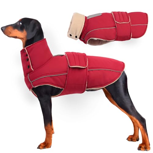 ASENKU Hundemantel & Winterjacke, warmer Hundemantel für mittelgroße große Hunde mit reflektierendem Rollkragen mit Knopf, wasserdichte Kaltwettermäntel (Dunkelrot, L) von ASENKU