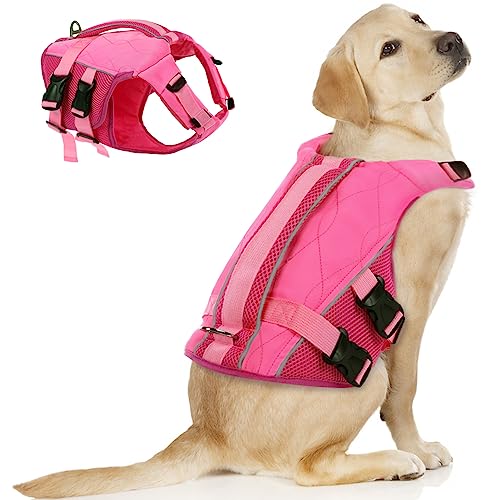 ASENKU Schwimmweste Hund Groß XXL,Verstellbar & Ripstop Hundeschwimmweste,Rettungsweste für Hunde mit Griff und Reflektierend, Hunde Schwimmweste für Chihuahua,Dackel,Französische Bulldogge, Labrador von ASENKU