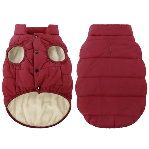 ASENKU Winddichte Hundejacke Winter wasserdichte Hundemantel Warme Hundeweste Kaltes Wetter Haustier Bekleidung mit 3-Lagen Fleece Gefüttert für Kleine Mittlere Große Hunde Rot XS ASENKU Winddichte Hundejacke Winter wasserdichte Hundemantel Warme Hundeweste Kaltes Wetter Haustier Bekleidung mit 3-Lagen Fleece Gefüttert für Kleine Mittlere Große Hunde Rot XS von ASENKU