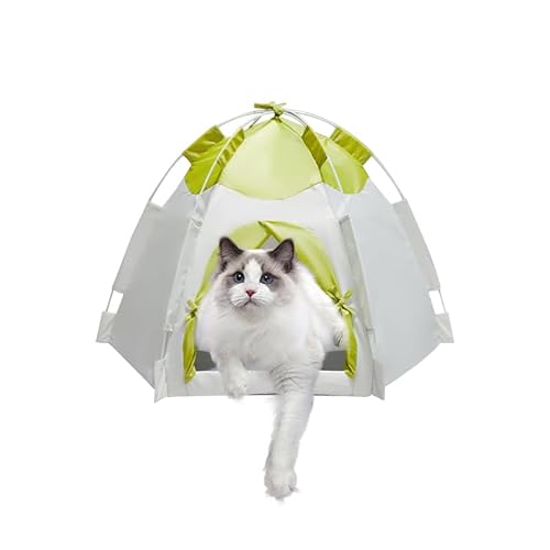 ASFANES Outdoor Haustiervorhang Campingzelt, Pop-Up-Höhlenbett für Indoor-Katzen und kleine Hunde, tragbares Katzenhaus Hundehaus, Grün ASFANES Outdoor Haustiervorhang Campingzelt, Pop-Up-Höhlenbett für Indoor-Katzen und kleine Hunde, tragbares Katzenhaus Hundehaus, Grün von ASFANES