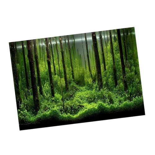 ASHATA Aquarium-Hintergrund-Plakat PVC-anhaftender Dekor-Papiergrün-Unterwasserwald-Wasserart (122 * 46cm) von ASHATA