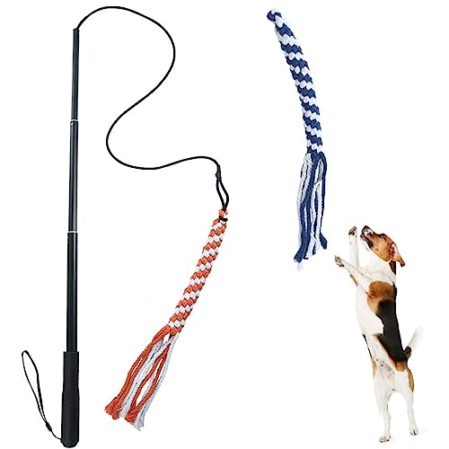 ASOCEA Reizangel Hunde Profi Reizangel für Hunde Reizangel Hunde Große Hunde für Ultimativen Spielspaß Körperliche Auslastung Hundespielzeug Für Kleine Mittlere Große Hunde von ASOCEA