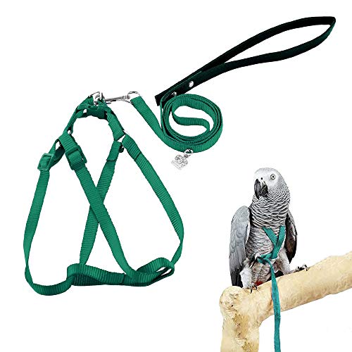 ASOCEA Vogelgeschirr Und Leine FüR Papageien Verstellbares Federband Fliegendes Nylon-Laufseil Outdoor Anti-Biss-TrainingsträGer FüR Kleine Papageien Wellensittiche Wellensittiche Nymphensittiche von ASOCEA