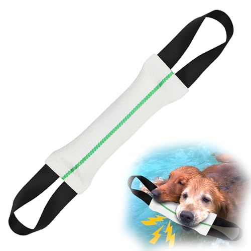 ASOCEA Hundespielzeug, Beißspielzeug, Nylon-Kissen, Zugspielzeug mit 2 Griffen, interaktives Quietschspielzeug, perfekt zum Tauziehen, für mittelgroße bis große Hunde, Apportier-Trainingsgeräte, Weiß von ASOCEA