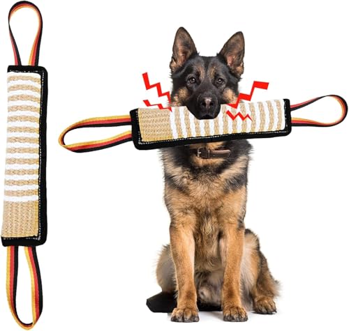 ASOCEA Hundespielzeug zum Zerren, Jute-Kissen, Ziehspielzeug, robust, quietschend, Hundespielzeug mit 2 Griffen, Beißspielzeug für mittelgroße bis große Hunde, interaktives Spielzeug, Tauziehen, von ASOCEA