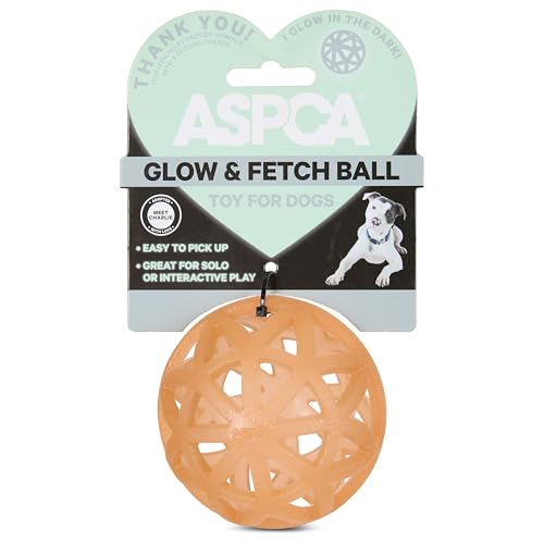 ASPCA Nachtleuchtender Käfigball Hundespielzeug - Leicht aufzubauender Gummiball zum Apportieren in der Nacht - Sichere TPR-Konstruktion, langlebig & Spaß für Hunde ASPCA Nachtleuchtender Käfigball Hundespielzeug - Leicht aufzubauender Gummiball zum Apportieren in der Nacht - Sichere TPR-Konstruktion, langlebig & Spaß für Hunde von ASPCA