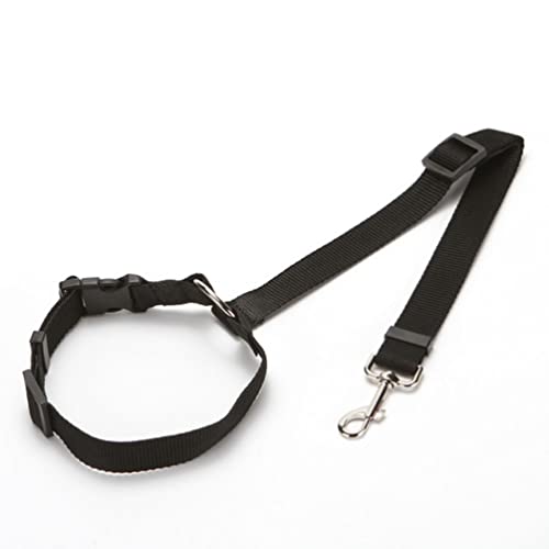 Sicherheitsgurt Pet Products Praktische Katze Hund Sicherheit Einstellbare Auto Sicherheitsgurt Harness Leine Welpen Sicherheitsgurt Reise Clip Gurt Führt Sicherheitsgurt Extender Sicherheitsgurt Pet Products Praktische Katze Hund Sicherheit Einstellbare Auto Sicherheitsgurt Harness Leine Welpen Sicherheitsgurt Reise Clip Gurt Führt Sicherheitsgurt Extender von ASSICON