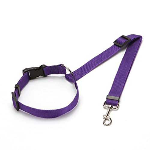 Sicherheitsgurt Pet Products Praktische Katze Hund Sicherheit Einstellbare Auto Sicherheitsgurt Harness Leine Welpen Sicherheitsgurt Reise Clip Gurt Führt Sicherheitsgurt Extender Sicherheitsgurt Pet Products Praktische Katze Hund Sicherheit Einstellbare Auto Sicherheitsgurt Harness Leine Welpen Sicherheitsgurt Reise Clip Gurt Führt Sicherheitsgurt Extender von ASSICON