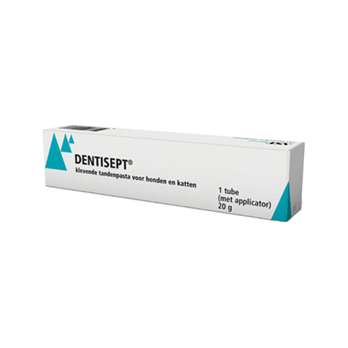 Dentisept Zahnpasta - 2 x 20 g von AST