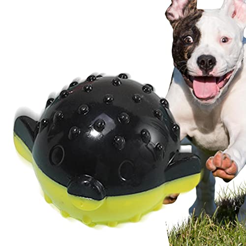 ASTRL Hund Quietschende Bälle | Klingendes interaktives Ball-Hundespielzeug | Lustiger, unregelmäßiger, hochspringender Ball für Hunde, Welpen, angenehm zu beißen von ASTRL