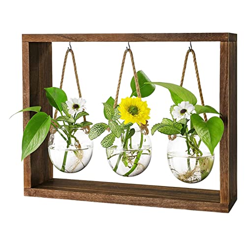 Ausbreitungsstationen | Blumenterrarium mit Holzständer | Desktop Glasvase Pflanzenhalter | Home Garden Decor DIY Glasblumentopf zum Schneiden von Hydrokulturblumen von ASTRL