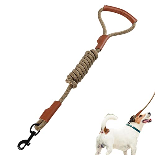 Hundeleine - Zugseil verstellbare Hundeleine für das Training | Reflektierende, Starke Leder-Leine, schützende Jagd- und Campingleine für Hunde Astrl von ASTRL