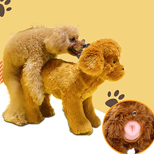ASUMUI Interaktives Schlafspielzeug für Hunde Spleasure Gefüllter Teddy Chihuahua Play Estrus Toy Partner Plüschtier Lustiges männliches Hundespielzeug (Brown 15cm) von ASUMUI