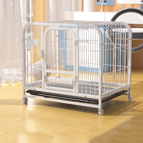 Heavy Duty Hundekiste, Hund Kennel Indoor Welpe Haustier Capet Zwinger -Playpen, Haustierkiste mit abnehmbarem Tablett/Weiß KeYJ Heavy Duty Hundekiste, Hund Kennel Indoor Welpe Haustier Capet Zwinger -Playpen, Haustierkiste mit abnehmbarem Tablett/Weiß KeYJ von ASYHONG