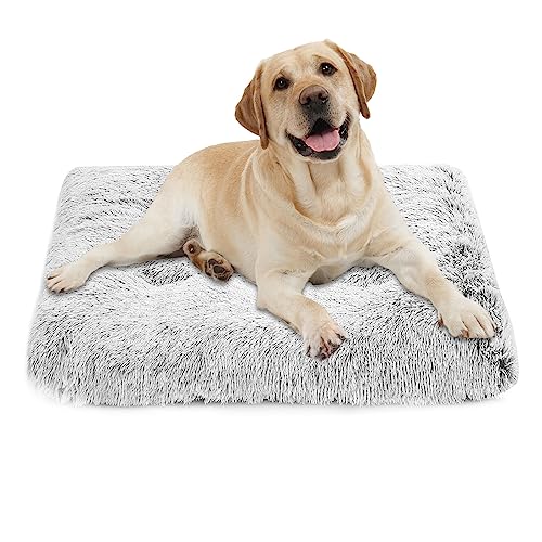 ASelected Großes Hundebett – waschbar, beruhigend, flauschig weich, Anti-Angst-Matte mit rutschfester Unterseite, Grau, 80 x 55 x 12 cm ASelected Großes Hundebett – waschbar, beruhigend, flauschig weich, Anti-Angst-Matte mit rutschfester Unterseite, Grau, 80 x 55 x 12 cm von ASelected