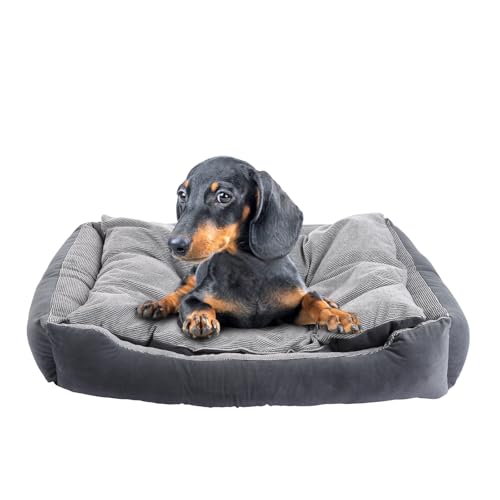 ASelected Hundebett ASelected Hundebett von ASelected