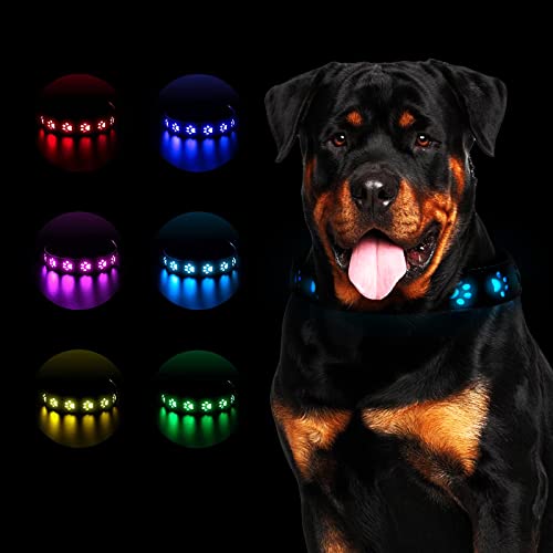 Leuchthalsband Hund,LED Leuchthalsband für Hunde Aufladbar,Hundehalsband Leuchtend Halsband für Hunde Einstellbare Größe Sicherheit,7 Farbwechsel Halsband Hund Helle Sicherheit,S,11.8"-15.7",30-40cm Leuchthalsband Hund,LED Leuchthalsband für Hunde Aufladbar,Hundehalsband Leuchtend Halsband für Hunde Einstellbare Größe Sicherheit,7 Farbwechsel Halsband Hund Helle Sicherheit,S,11.8"-15.7",30-40cm von ASelected