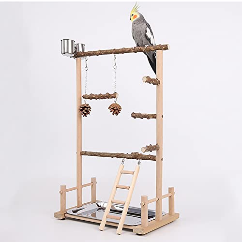 Parrot Playstand, Bird Playground, Papagei Vogel Spielplatz, Papageien Vogelständer Vogelspielplatz für Vogelkäfige, für Wellensittich Nymphensittich(36.5 * 23 * 57CM) von ATB-GIFT