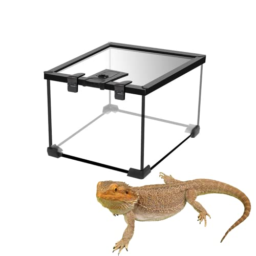 Reptile Tank, Terrarium aus Glas für Reptilien Haustiere Bartagame Gecko Eidechse, Einfache Montage(20 * 20 * 16cm) von ATB-GIFT