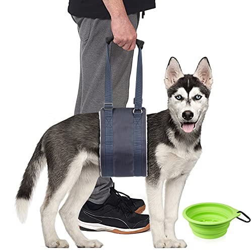 ATESON Hundegeschirr, Hundeschlinge für mittelgroße Hunde Hinterbeinstütze (M) von ATESON